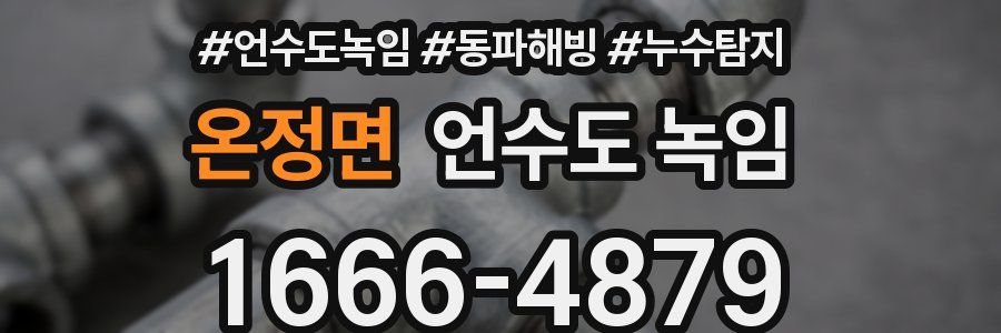 온정면 언수도 녹임