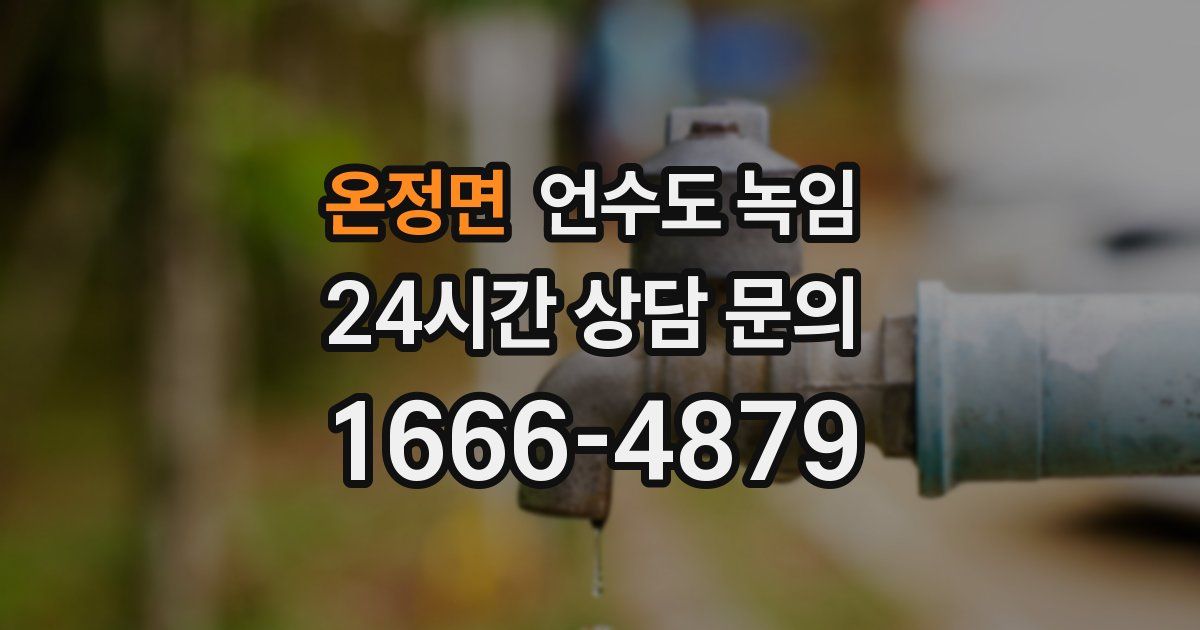 온정면 언수도 녹임