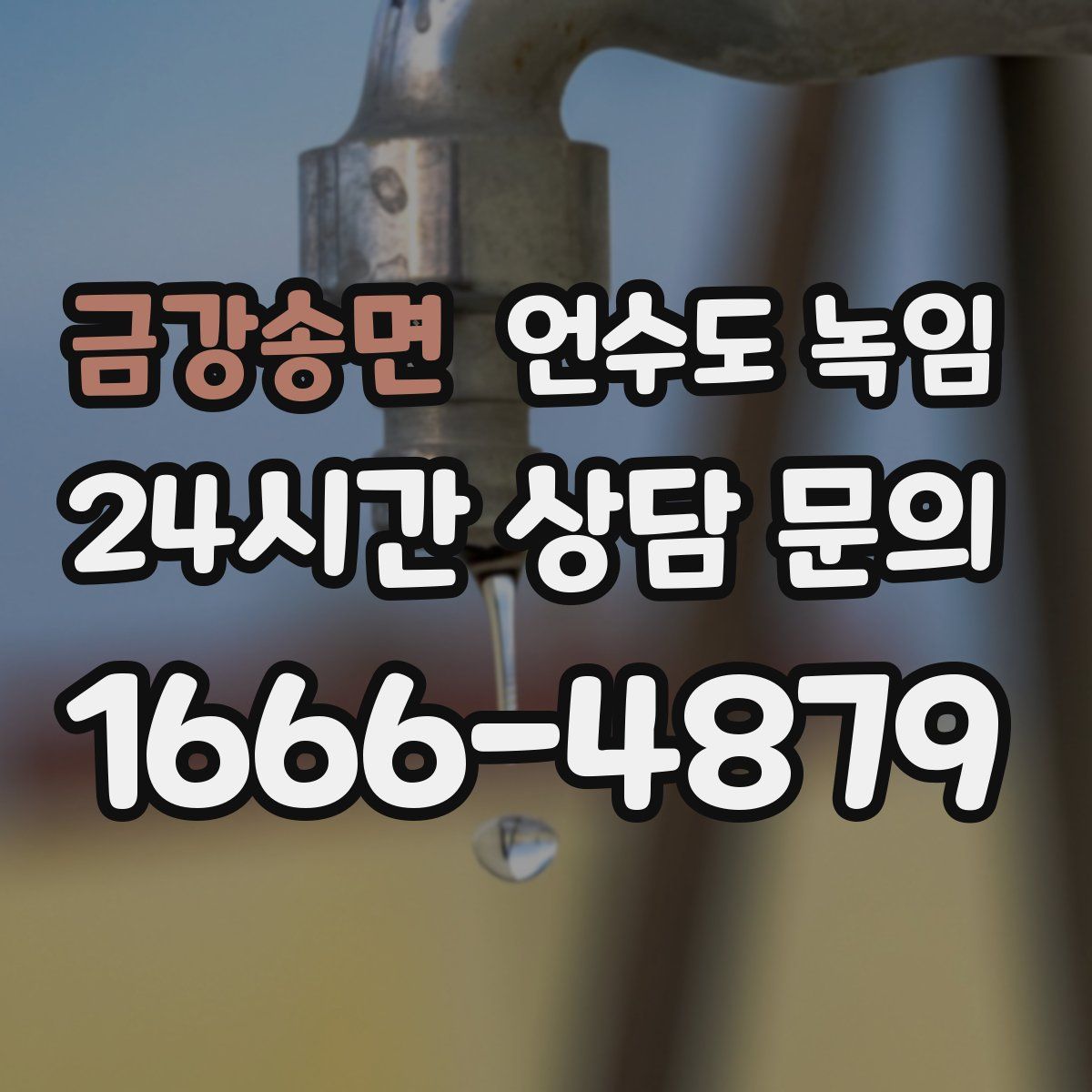 금강송면 언수도 녹임