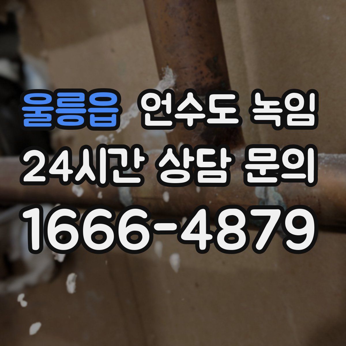 울릉읍 언수도 녹임