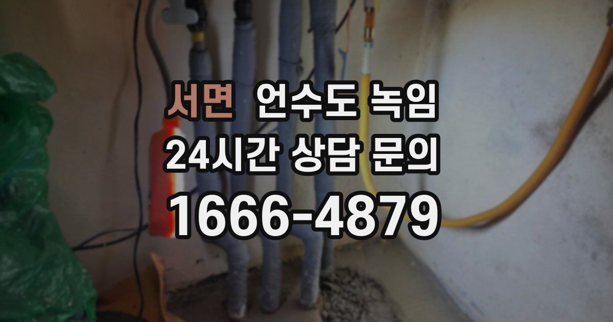 서면 언수도 녹임