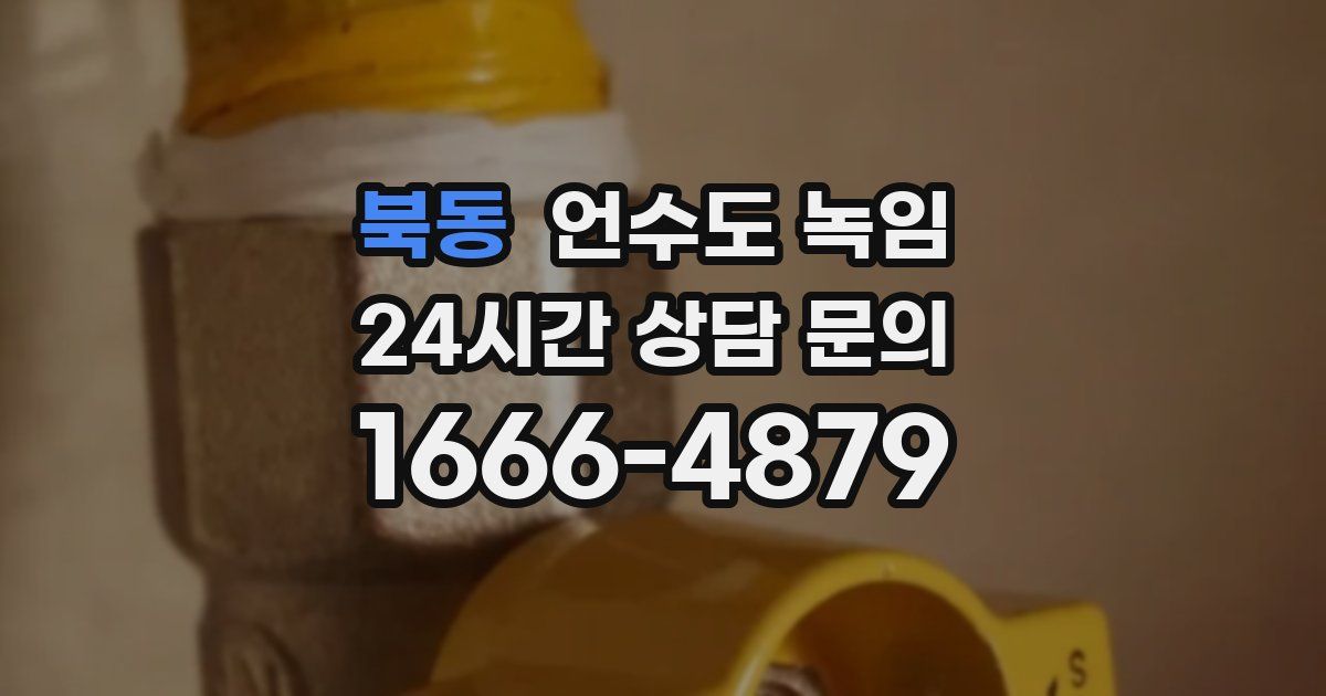 북동 언수도 녹임