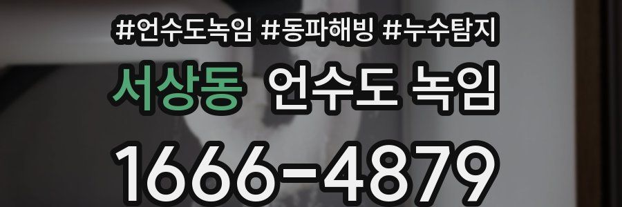 서상동 언수도 녹임