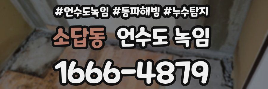 소답동 언수도 녹임