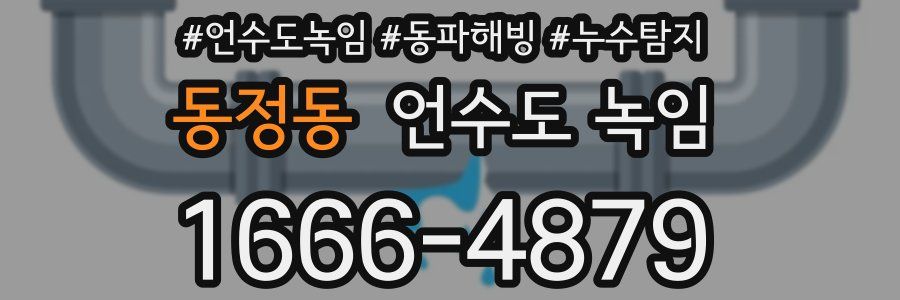 동정동 언수도 녹임