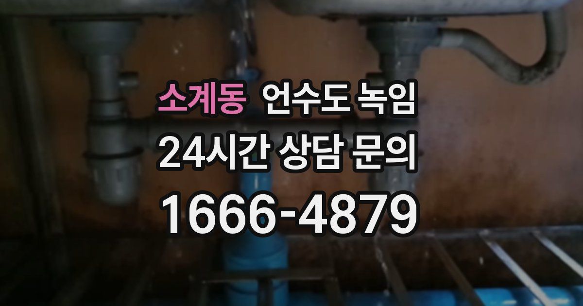 소계동 언수도 녹임