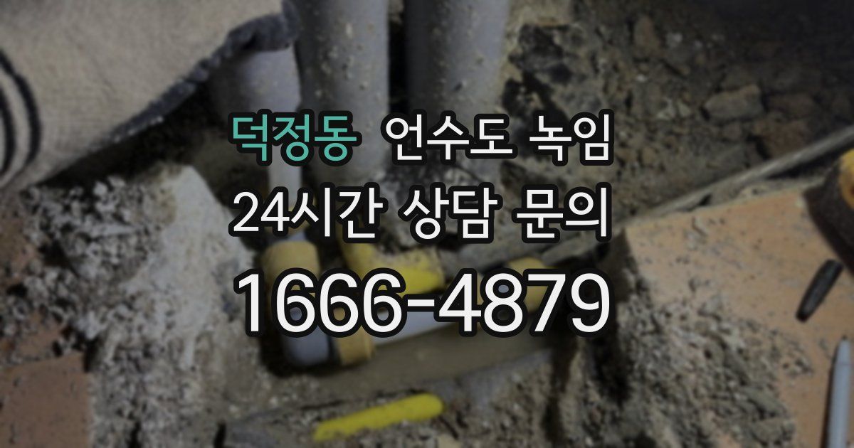 덕정동 언수도 녹임