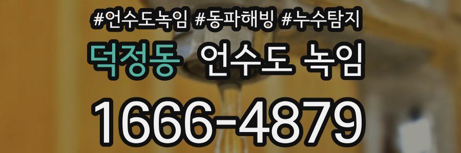 덕정동 언수도 녹임