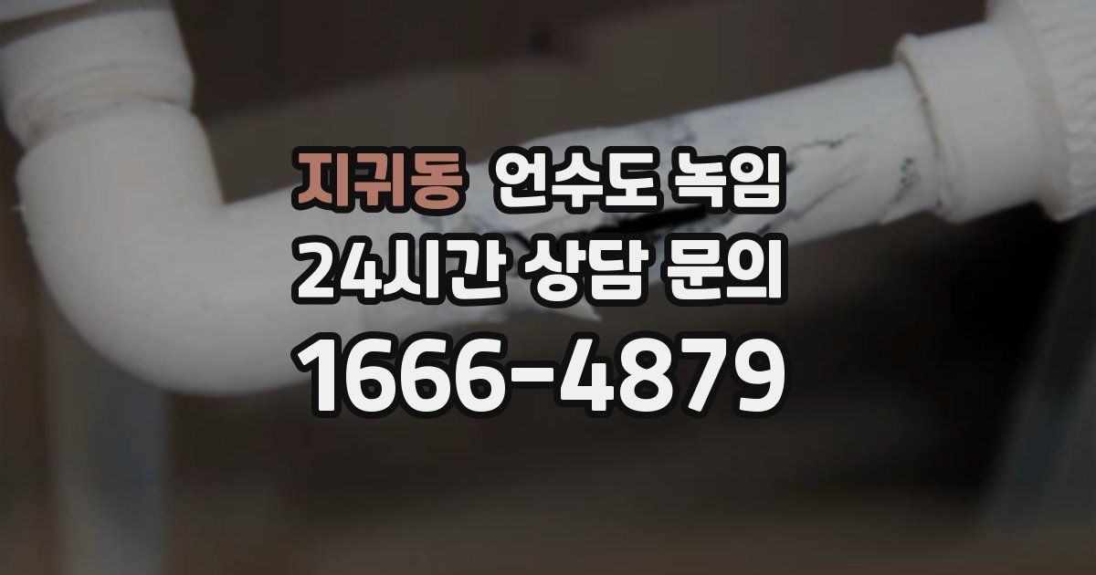 지귀동 언수도 녹임