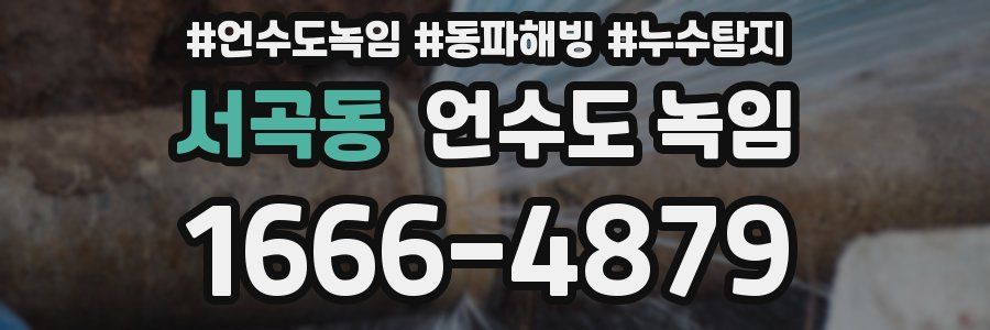 서곡동 언수도 녹임