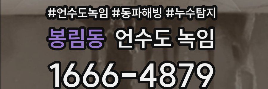 봉림동 언수도 녹임