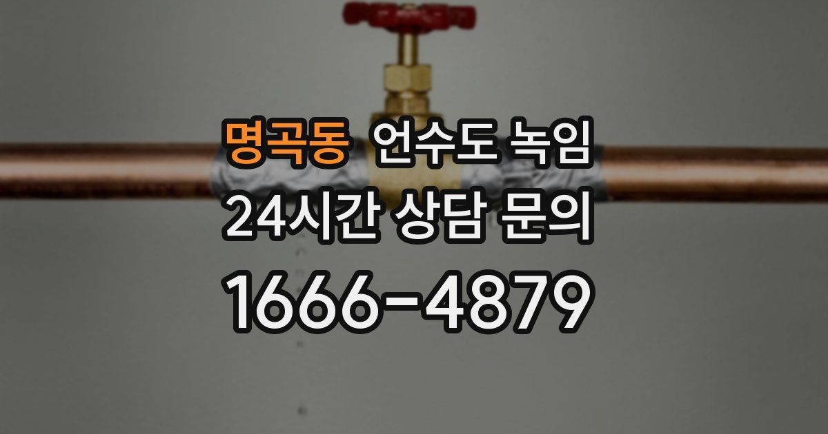 명곡동 언수도 녹임