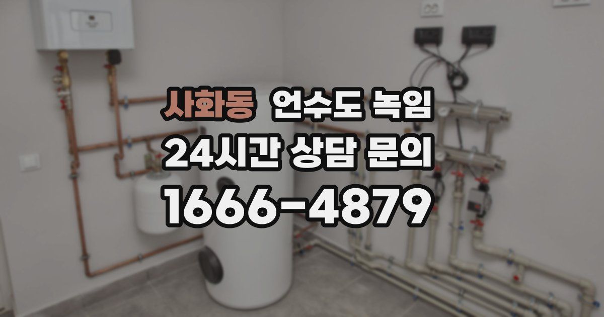 사화동 언수도 녹임