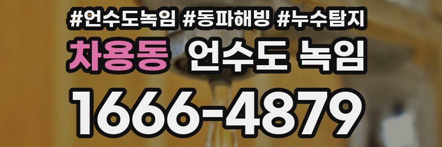 차용동 언수도 녹임