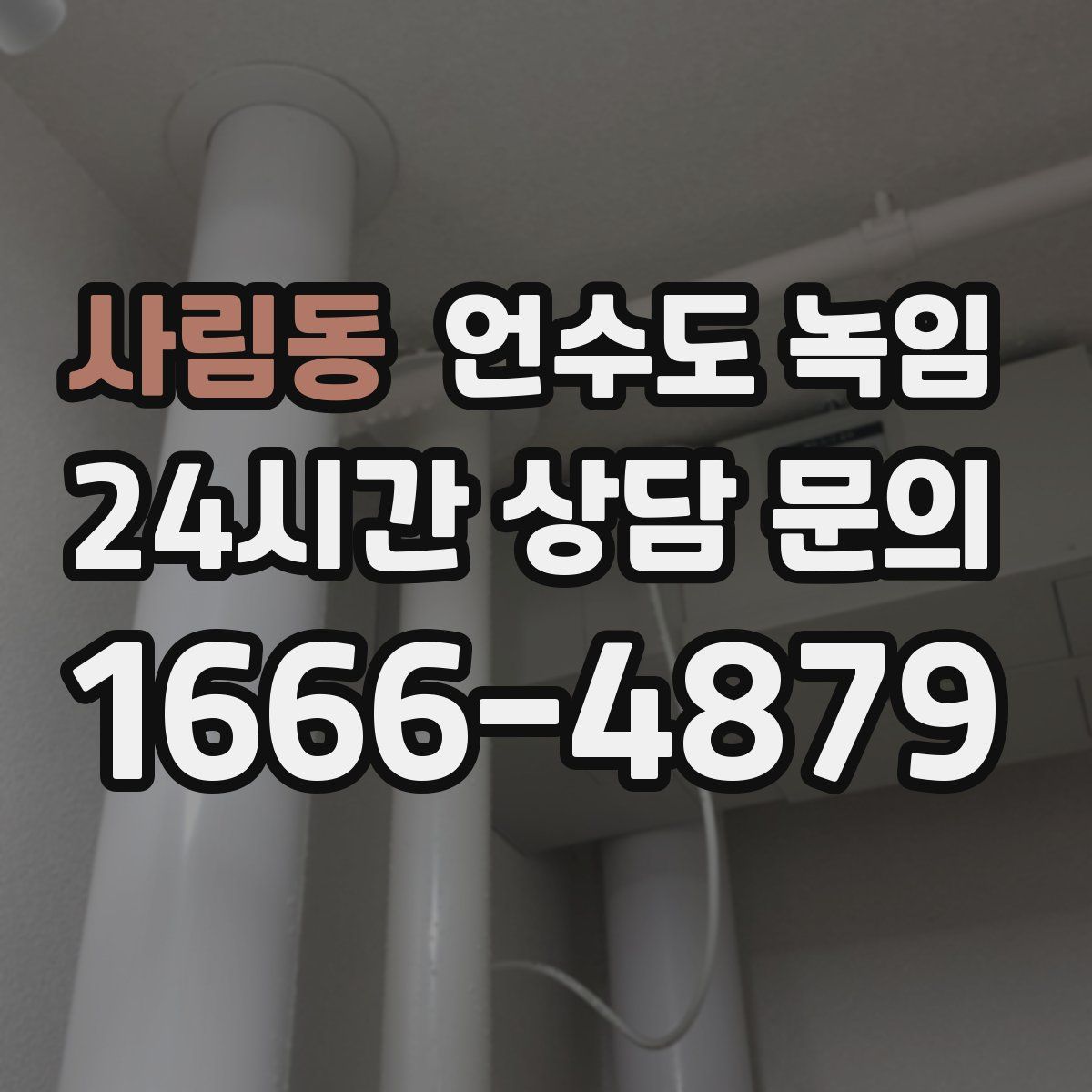 사림동 언수도 녹임