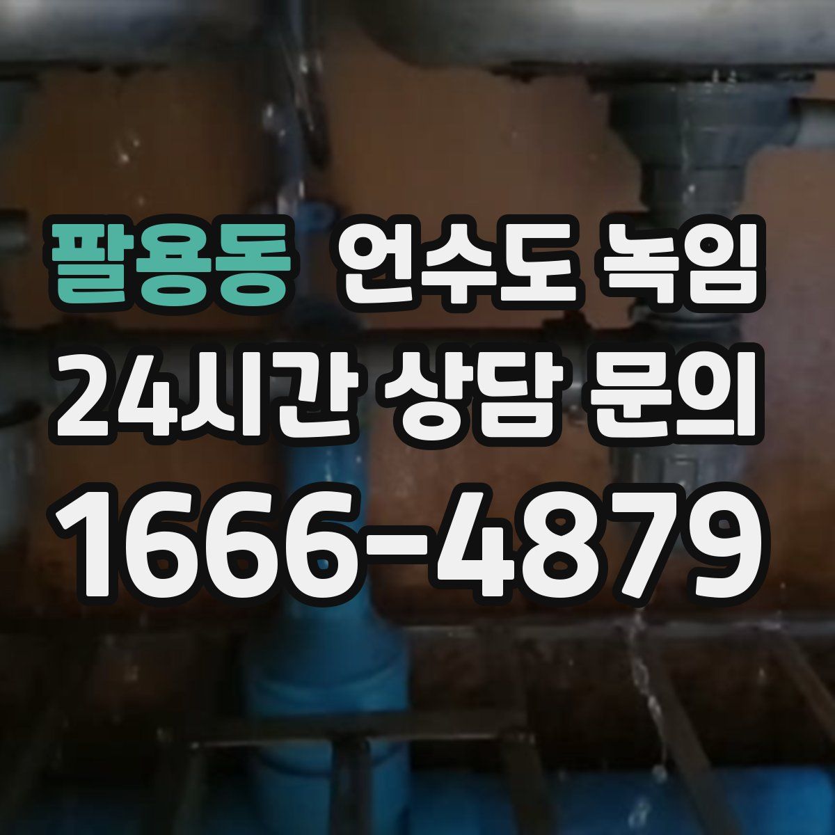 팔용동 언수도 녹임