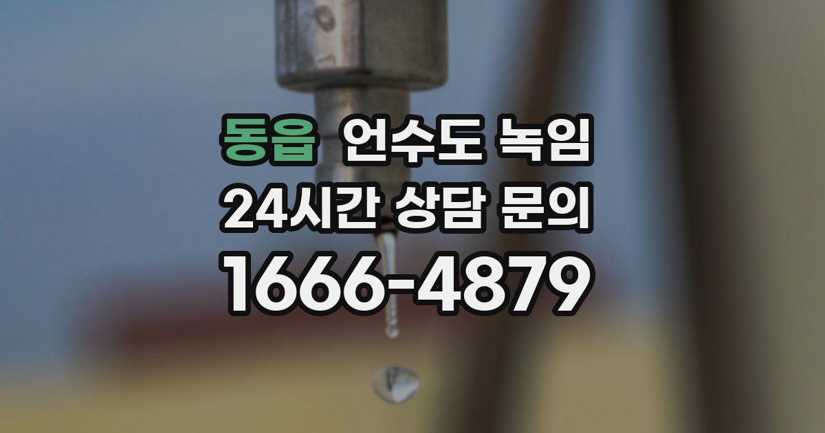 동읍 언수도 녹임