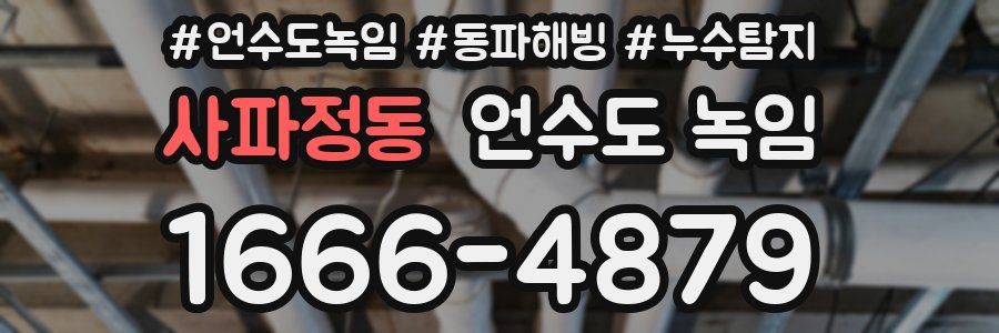 사파정동 언수도 녹임