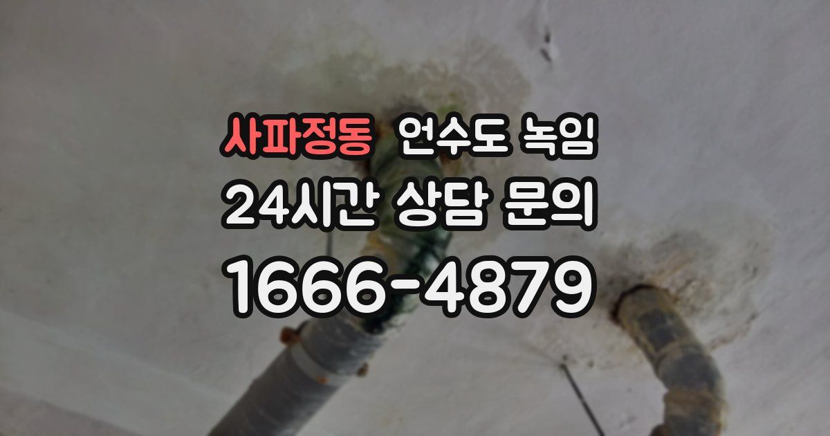 사파정동 언수도 녹임