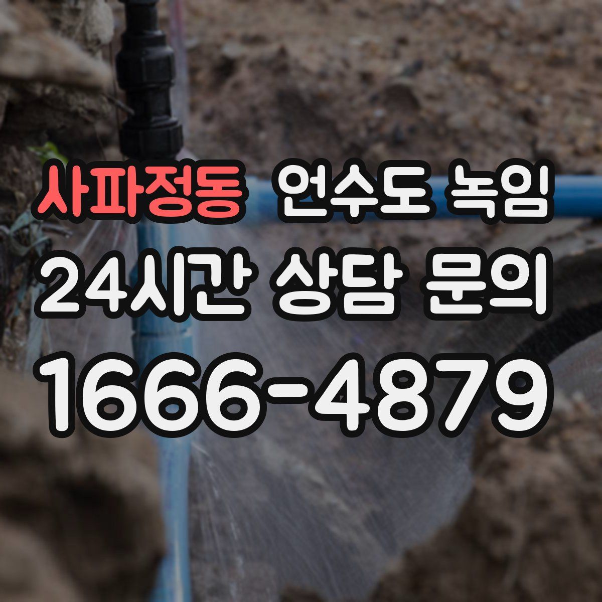 사파정동 언수도 녹임