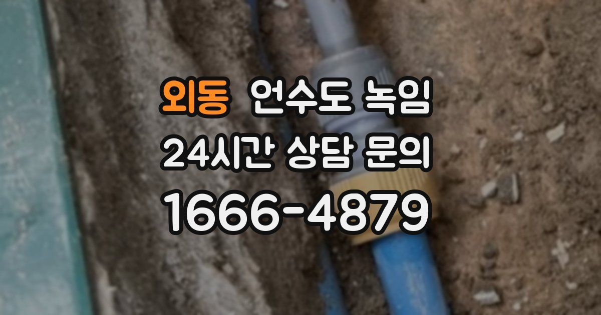 외동 언수도 녹임