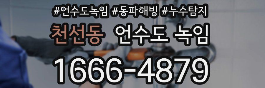 천선동 언수도 녹임