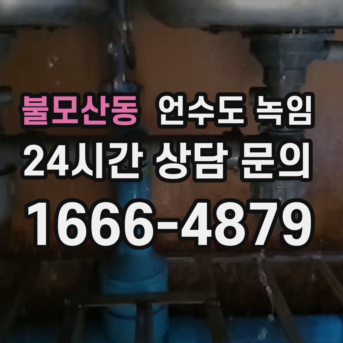 불모산동 언수도 녹임