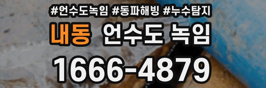 내동 언수도 녹임