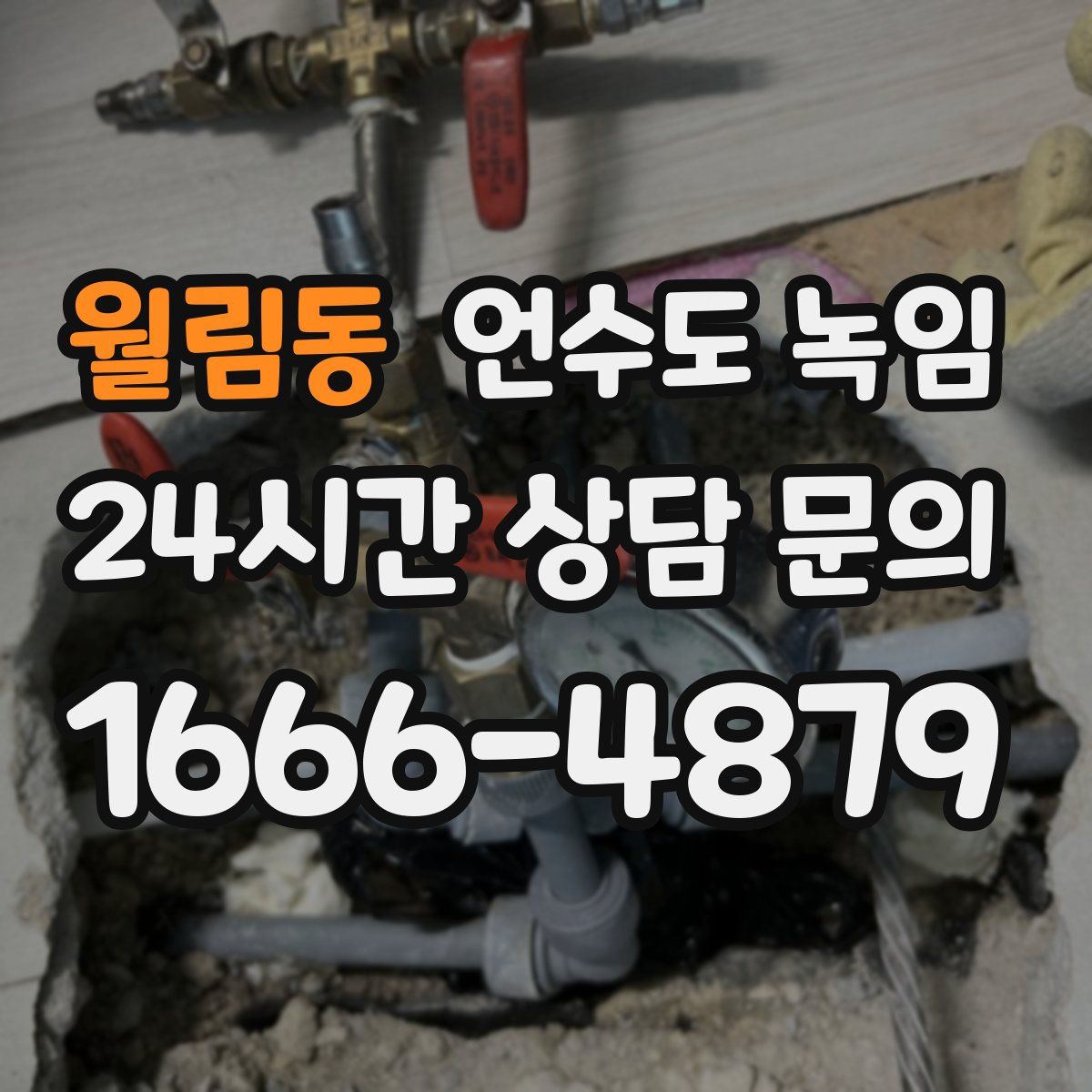 월림동 언수도 녹임
