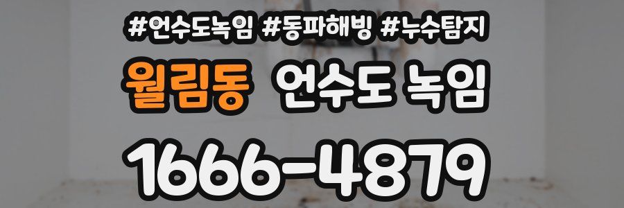 월림동 언수도 녹임