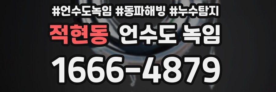 적현동 언수도 녹임