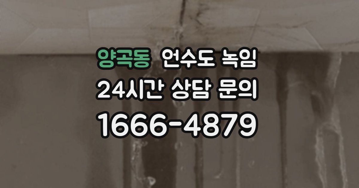 양곡동 언수도 녹임