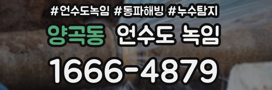 양곡동 언수도 녹임