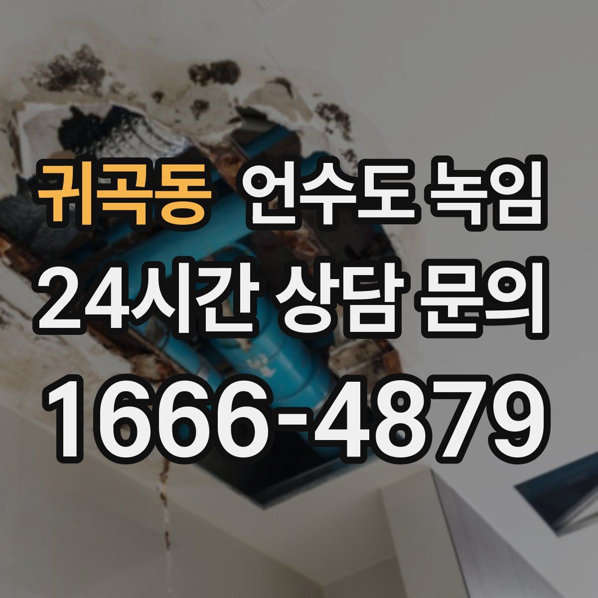 귀곡동 언수도 녹임