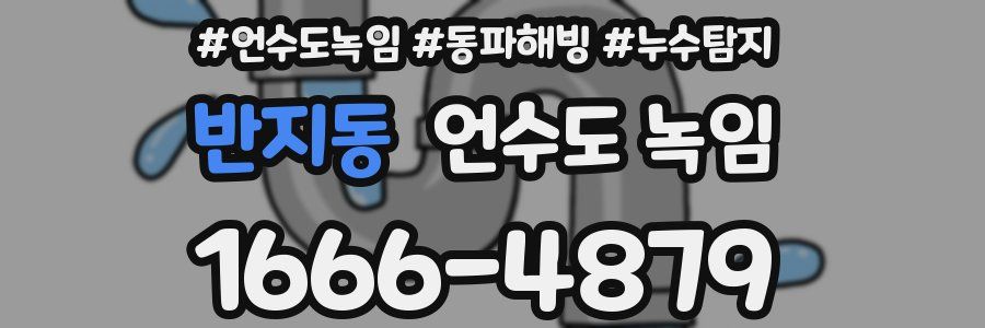 반지동 언수도 녹임