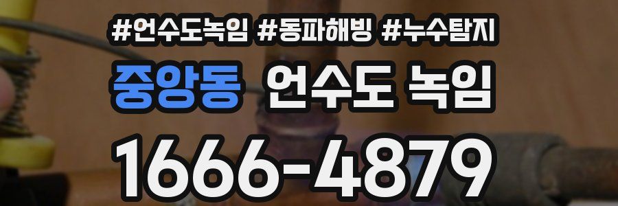 중앙동 언수도 녹임