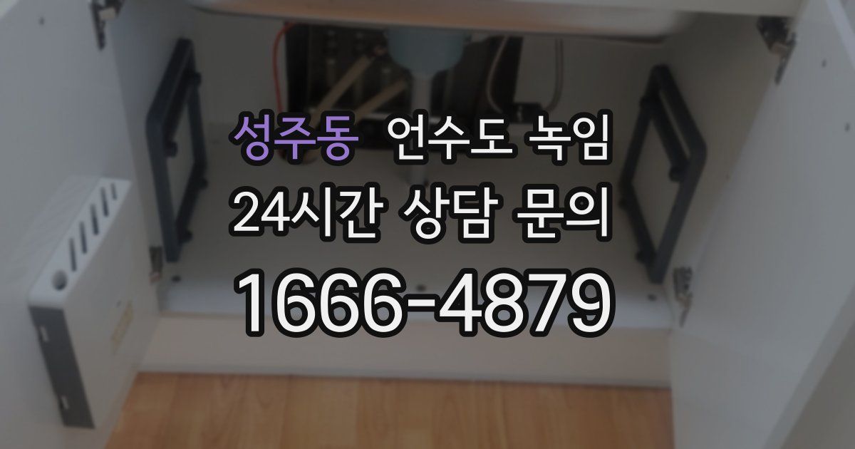 성주동 언수도 녹임