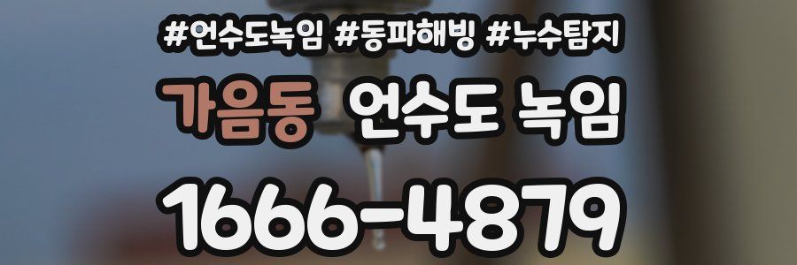 가음동 언수도 녹임