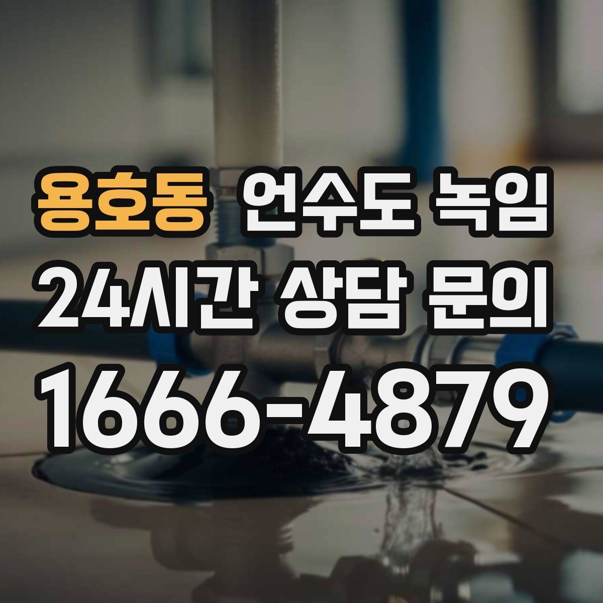 용호동 언수도 녹임 해빙 후 외부 인입(계량기) 확인으로 누수 여부 판단하기