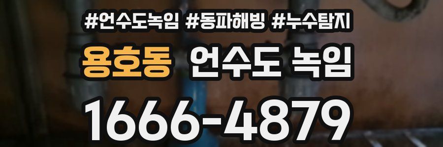 용호동 언수도 녹임