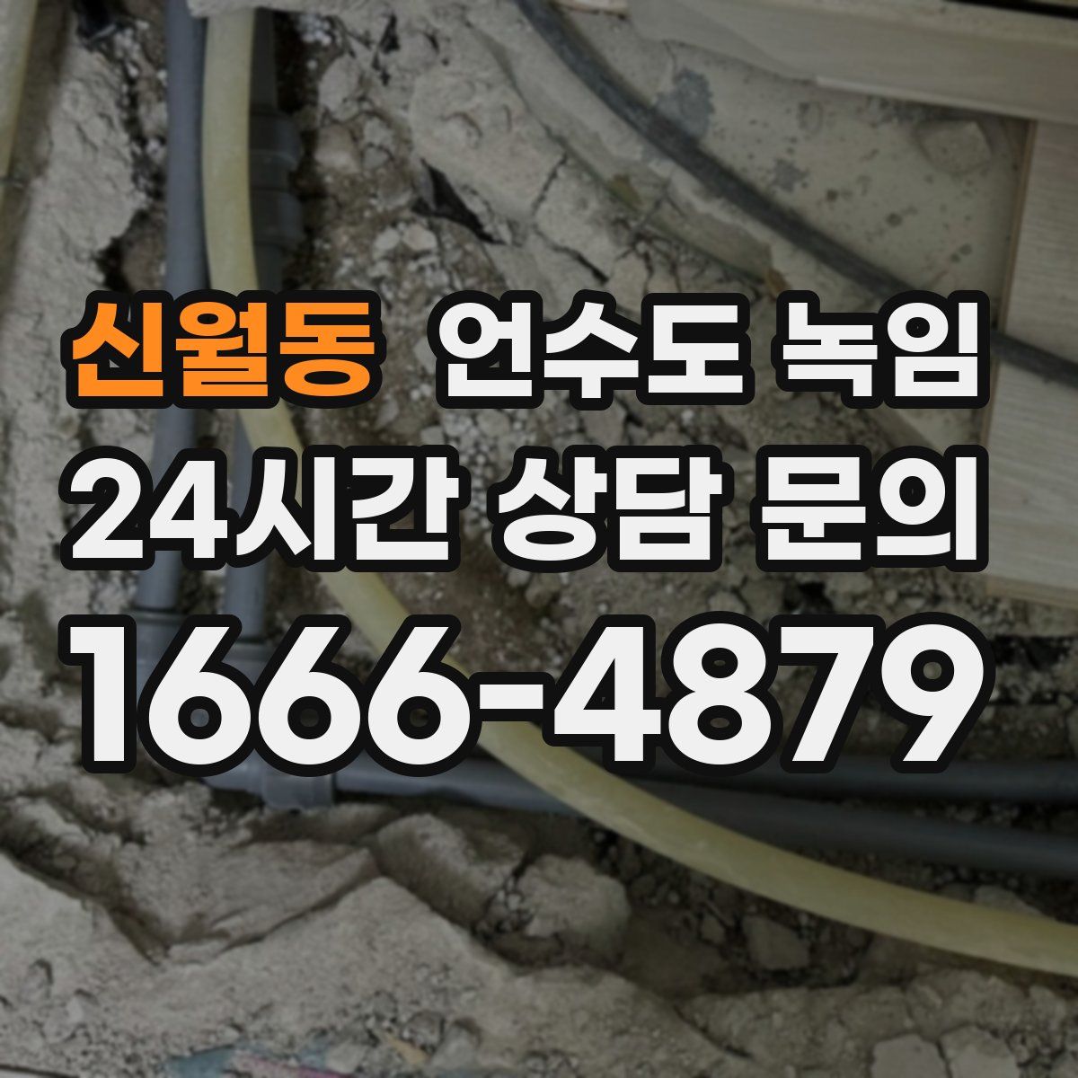 신월동 언수도 녹임