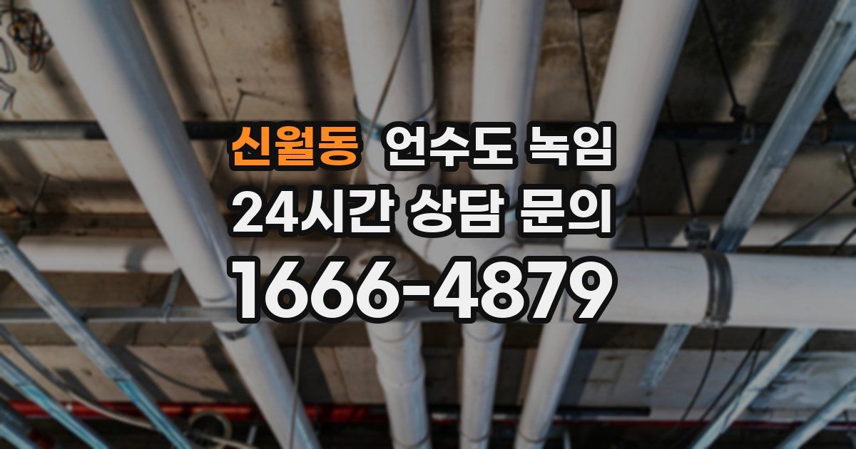 신월동 언수도 녹임