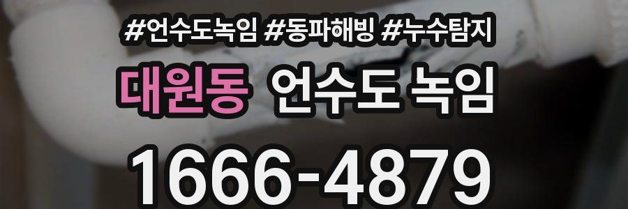 대원동 언수도 녹임