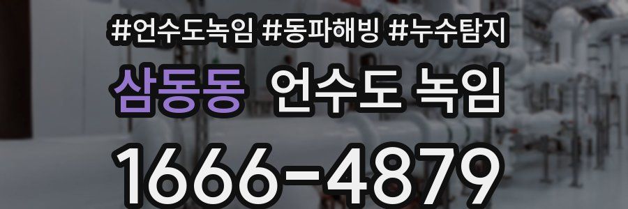 삼동동 언수도 녹임