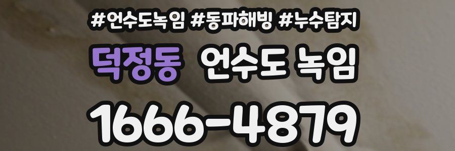 덕정동 언수도 녹임