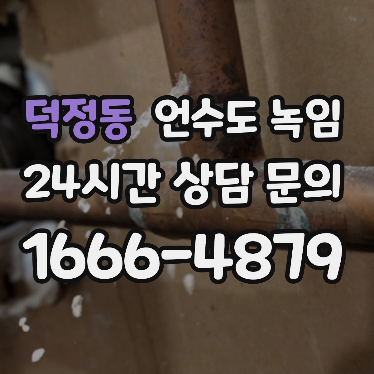 덕정동 언수도 녹임