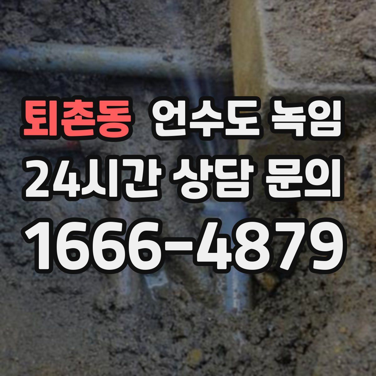 퇴촌동 언수도 녹임