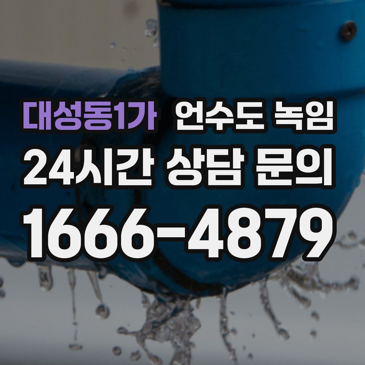 대성동1가 언수도 녹임