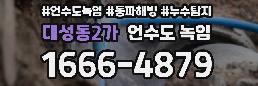 대성동2가 언수도 녹임