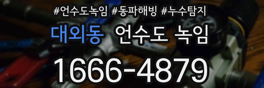 대외동 언수도 녹임